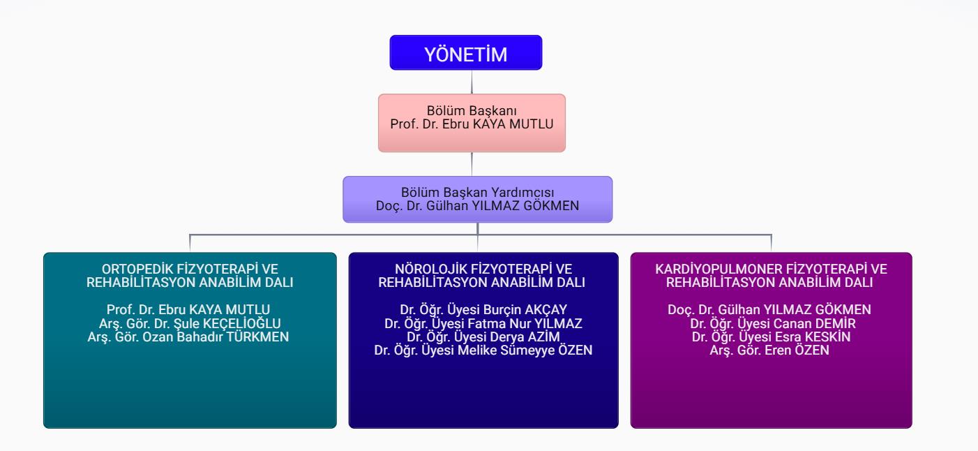 Yönetim Şeması