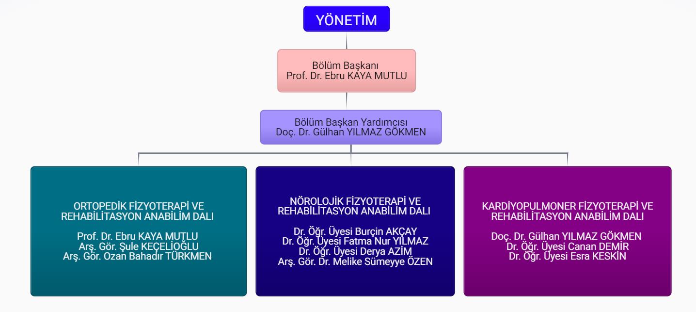 Yönetim Şeması