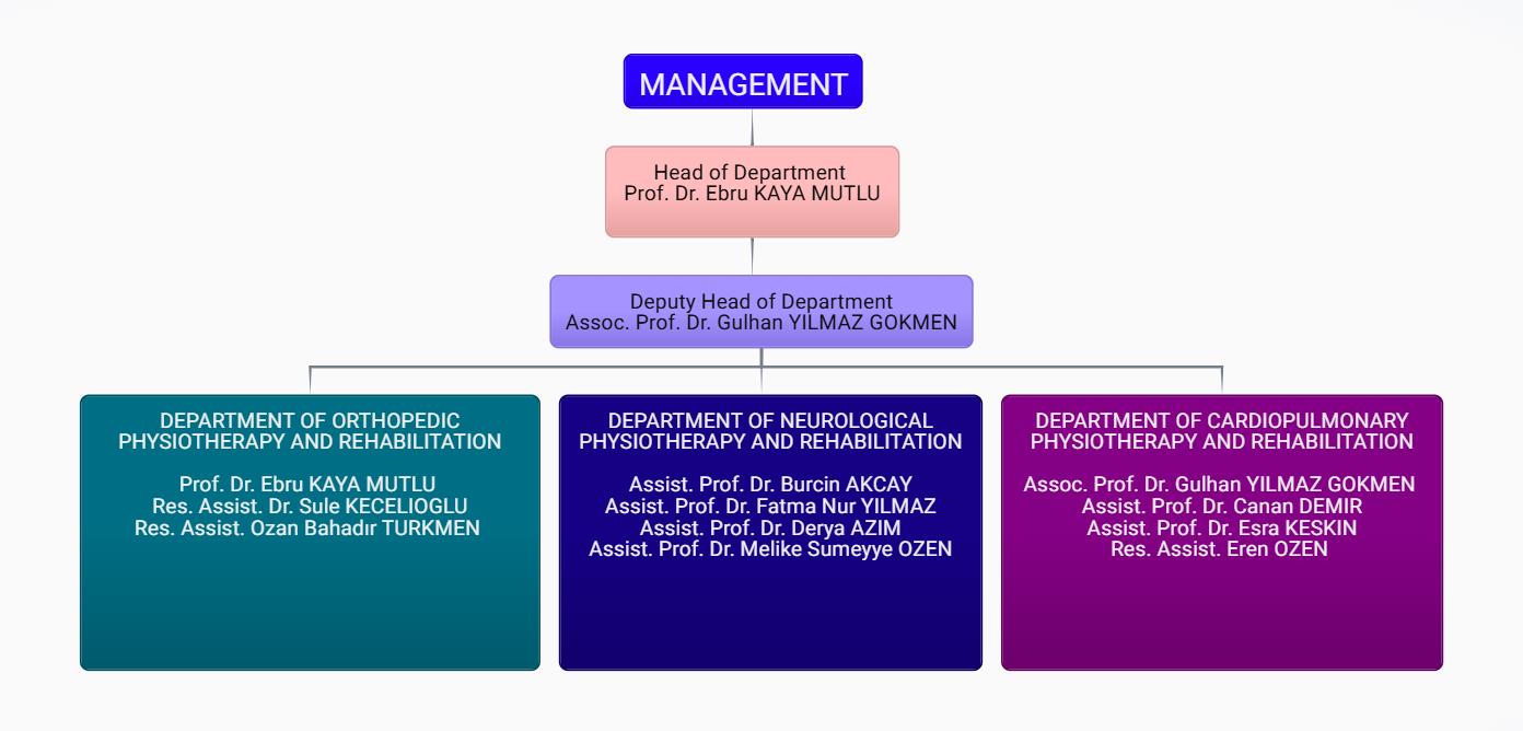 Management Chart