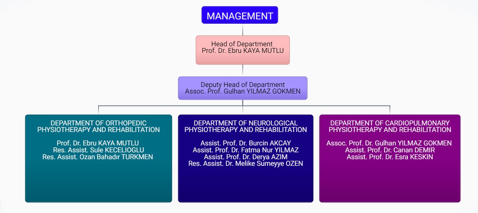 Management Chart